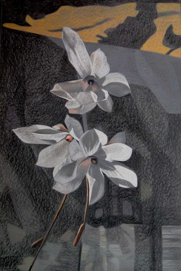 Rysunek magnolia kwiaty